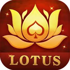 rummy bound download